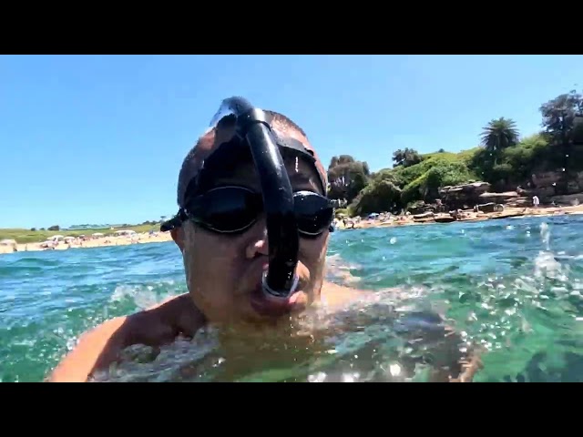 little Bay boxing day snorkelling