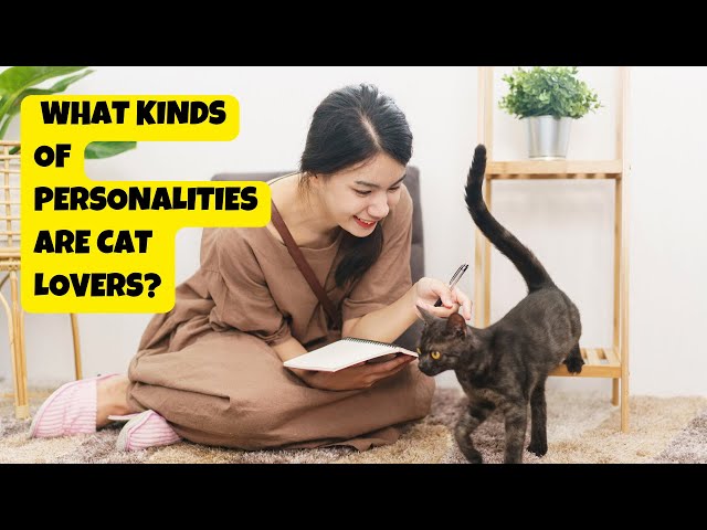 What Kinds of Personalities Are Cat Lovers? |Cat's Knowhow