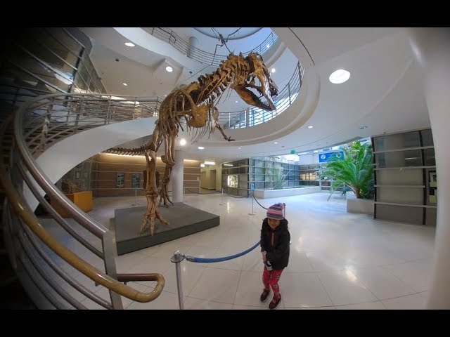 Dinosaurs in Berkeley!! (VR180 3D)