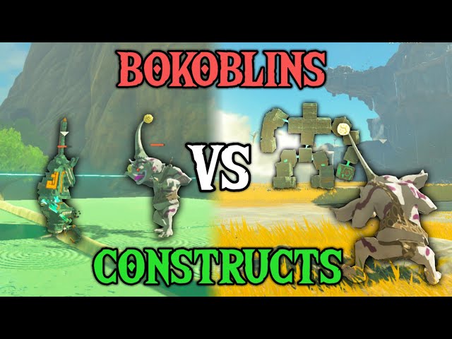 Bokoblins VS Constructs EPIC BATTLE! | Zelda: Tears of the Kingdom