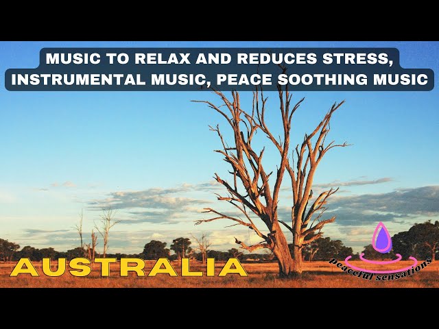 music to relax and reduces stress, instrumental music, peace soothing music, peaceful 4k nature