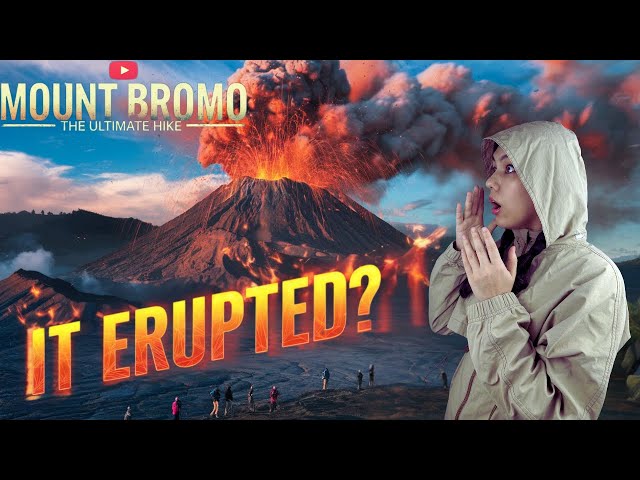 Vlog | 🇮🇩 Indonesia 🇮🇩 | Mount Bromo (Active Volcano Hike)