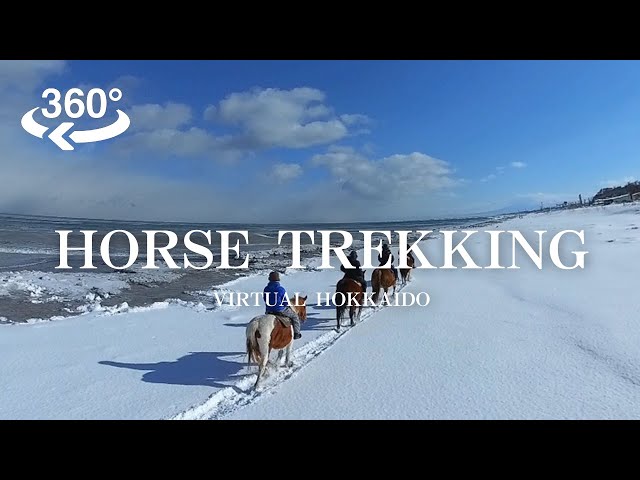 【VR】Abashiri Horse Trekking