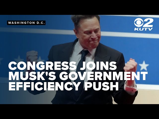 Congress joins Musk's government efficiency push amid controversy