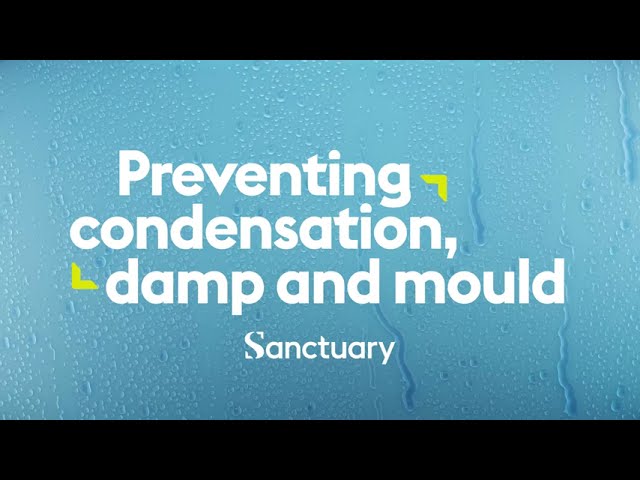 Preventing condensation, damp and mould in your home