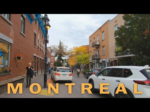 Beautiful Autumn Walk in Montreal City, Quebec, Canada - October 2021