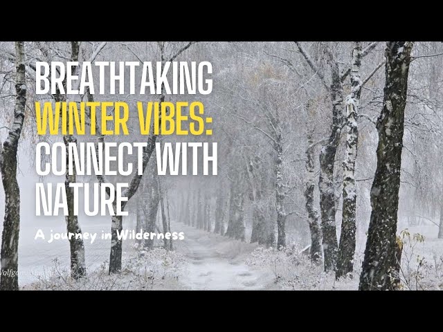 Winter wibes | Exploring the Wilderness | Connect with Nature