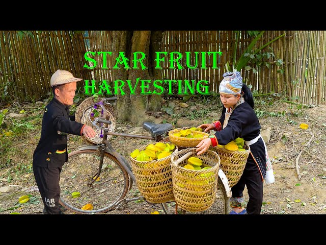 A Busy Day! Dwarf Family Picks and Sells Fresh Starfruit 🏡🌳