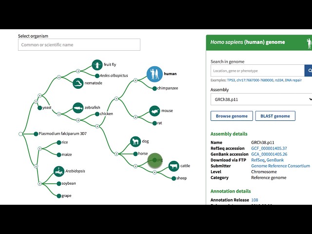 NCBI's Genome Data Viewer - Getting Started