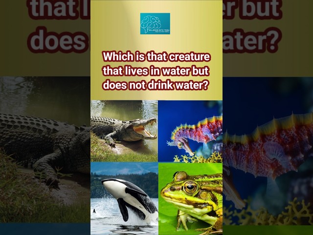 A quick knowledge quiz 🥹 Which is that creature that lives in water but does not drink water? #quiz