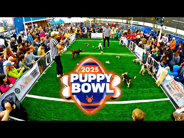 Puppy Bowl 2025 Animal Planet World Special for Mission Pets Alive & World Animal Rescue Network