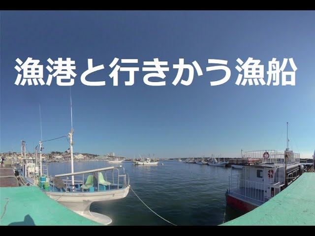 漁港と行きかう漁船！Fishing boats going to and from the fishing port! 　180度3DVR　oculus go！