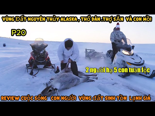 P20.Cuộc Sống Thổ Dân Thợ Săn & Con Mồi Vùng Alaska Băng Giá. SĂn Tuần Lộc , Bắt Hải Ly , Săn Gấu