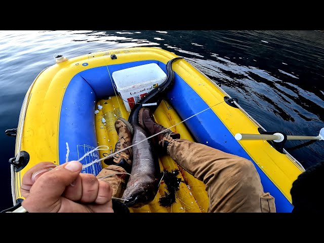 Journey to a Remote Beach: Catching the Giant Sea Eel in a Plastic Boat !