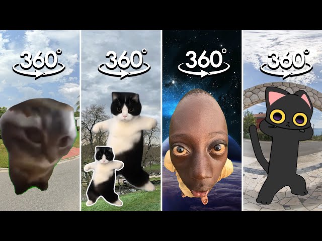 FIND Cat Dancing Meme COMPILATION | Cat Dancing Finding Challenge 360º VR Video