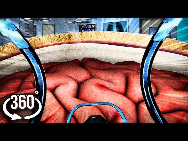 360 Inside Human Body 1 Vr 360 Video Roller Coaster