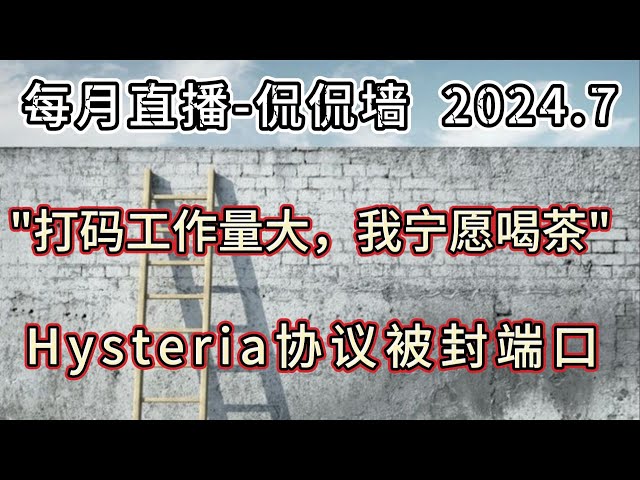 代理翻墙的顶流UP——不良林：“打码工作量大，我宁愿喝茶”；节点安全投票后续探讨；近期Hysteria被封端口？对大家的启示；每月直播《侃侃墙》13期