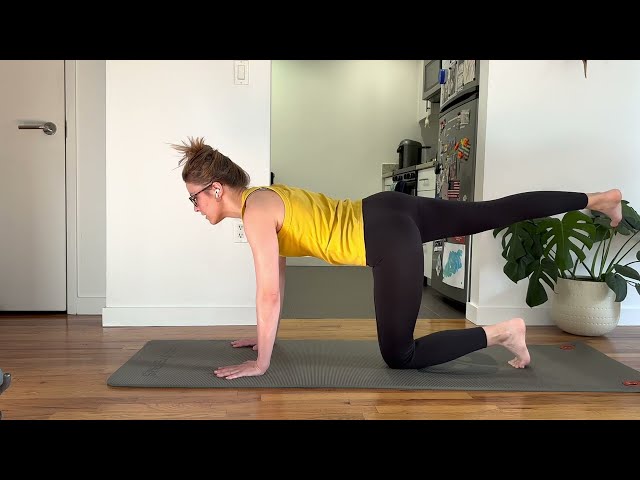 beginner / rehab - cat cow, leg lifts, neck stretches, childs pose, side planks