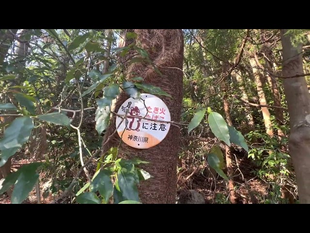 Part 3 Hiking Edo period stone paved road from KAI Hakone