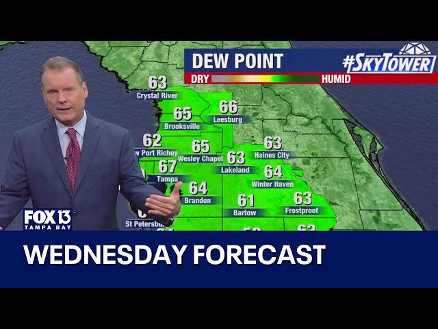 Tampa weather | Wednesday forecast