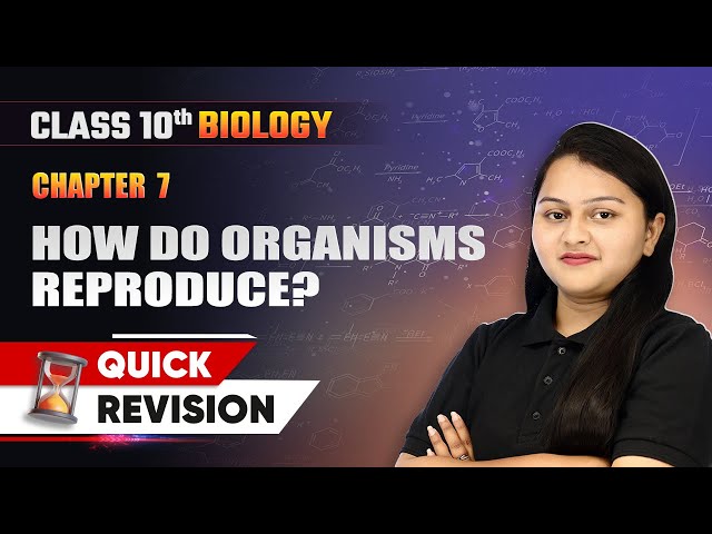 How do Organisms Reproduce ? - Quick Revision | Class 10 Biology Chapter 7 | CBSE 2024-25