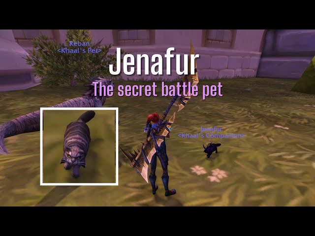 How to get Jenafur the Secret Battle Pet | WoW guide