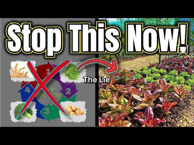 The Crop Rotation Lie: Why You Don’t Need It!