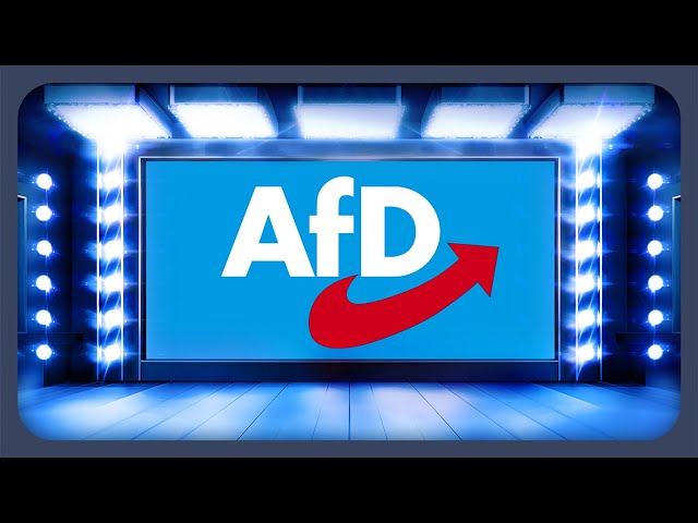 Das Wahlprogramm der AfD erklärt | Bundestagswahl 2025