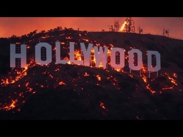 Hollywood en feu