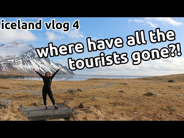 escape the tourists | iceland east coast budget road trip | northern lights for free | vlog 4