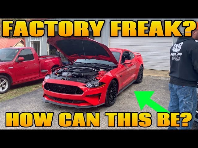 How Underrated is the 2018-2019 Mustang GT from the Factory on a Dyno?