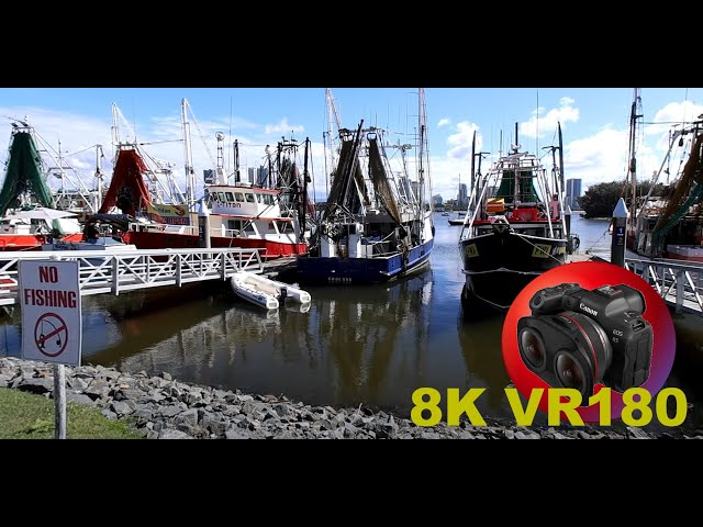 8K VR180 NO FISHING??? Fresh fish daily at this co operative Gold Coast 3D (Travel/Lego/ASMR/Music)