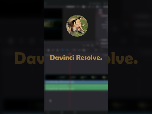 How To Freeze Frame In One Place In Davinci Resolve #davinciresolve #videoediting #tutorial