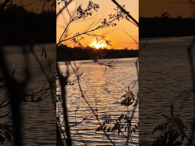 midsummer night's orange glow.