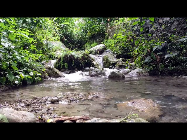 Calming River Stream | Relaxing Nature Sounds for Stress Relief and Meditation