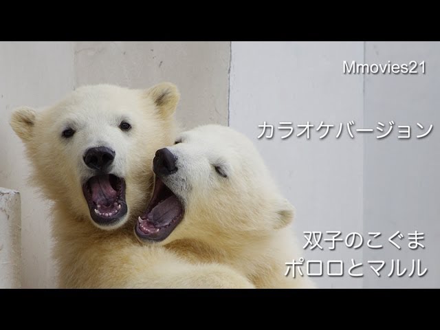 双子のこぐま　ポロロとマルル(カラオケ)