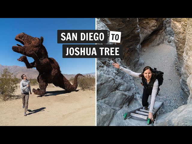 Road trip to Joshua Tree (with UNIQUE stops) | Apple Pie, Salton Sea, Ladder Canyon, & MORE!