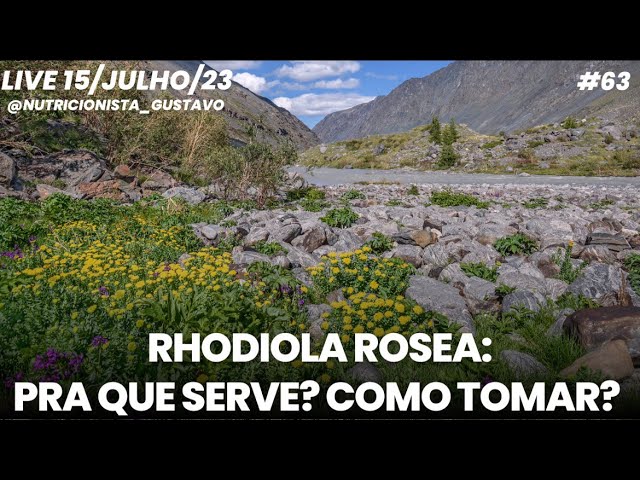 RHODIOLA ROSEA: PARA QUE SERVE E COMO TOMAR? #nutricionista_gustavo