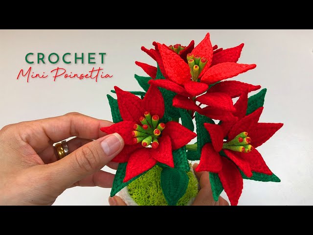 Crochet Mini Poinsettia Flower