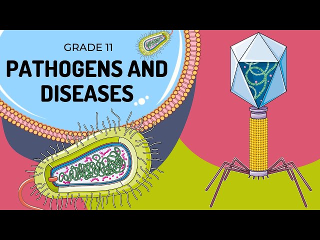 Pathogens and Disease management