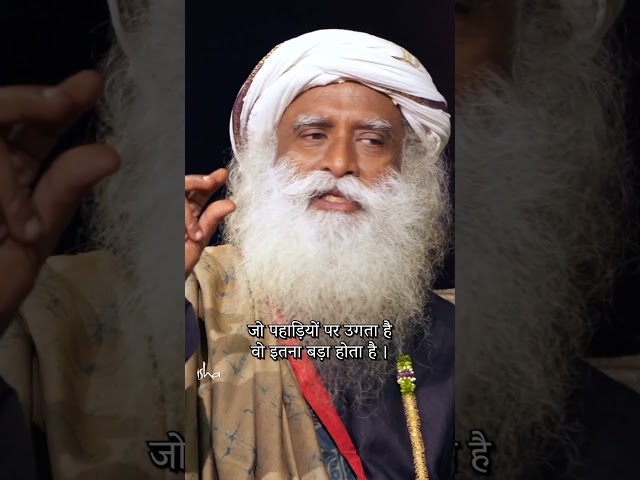 Immunity बढ़ाने के लिए 2 घरेलू उपाय | Immunity Boosters #shorts #sadhguruhindi