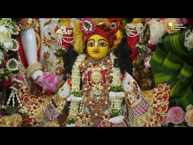 Sri Gaur Purnima Celebration | Phoolon ki Holi | 2022 by Vrindavan Chandrodaya Mandir