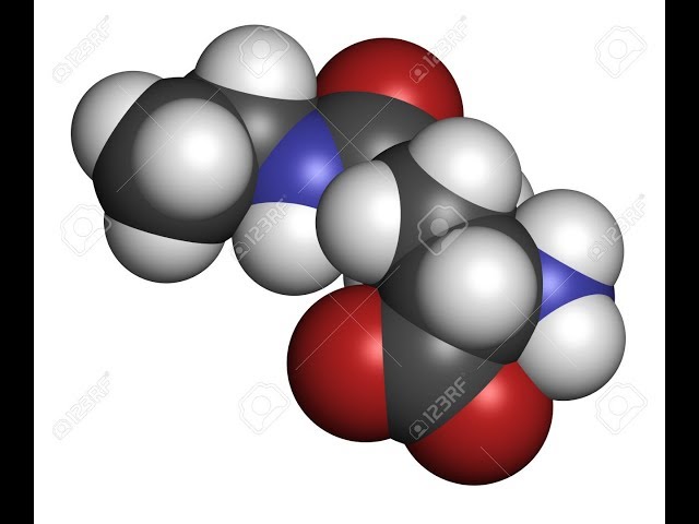 L Theanine | Nitric Oxide, Nicotinic Receptors, BBB, Serotonin, Dopamine, GABA, Neuroprotective