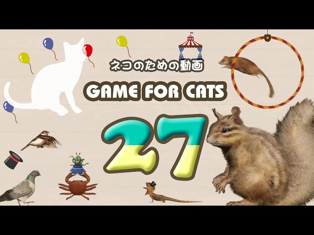 GAME FOR CATS 27　[Cat Video MIX27] Squirrel, Mouse, Lizard, Crab, Bird 4 hours