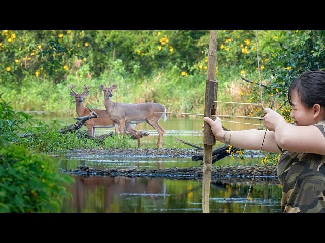 Bamboo Whistle Deer Lure - Deer Attraction Techniques/ Dig a Big Trap and Ambush