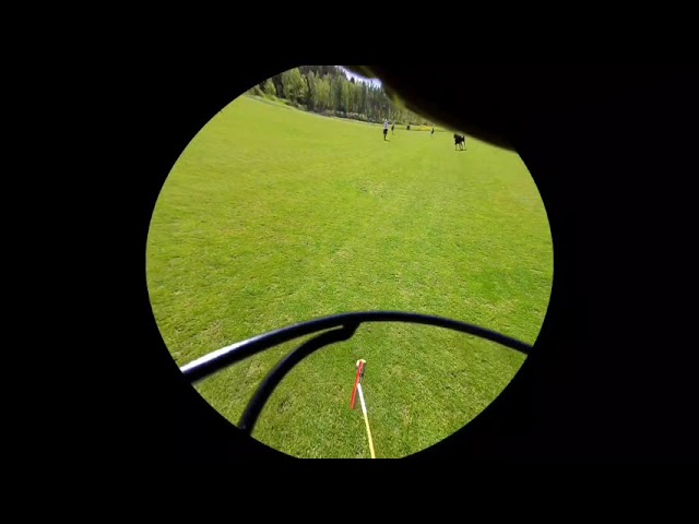 Hitting Ball in Horse Polo in VR (Captured with Spectacles 3)