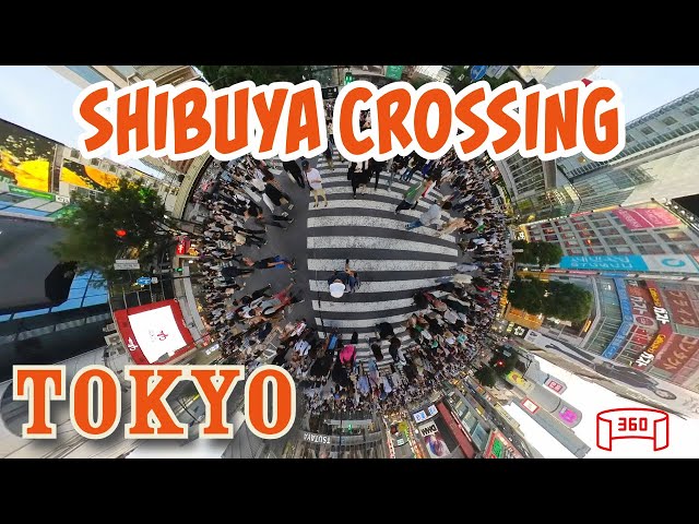 Shibuya Crossing in Tokyo, Japan - day and night - 360 video