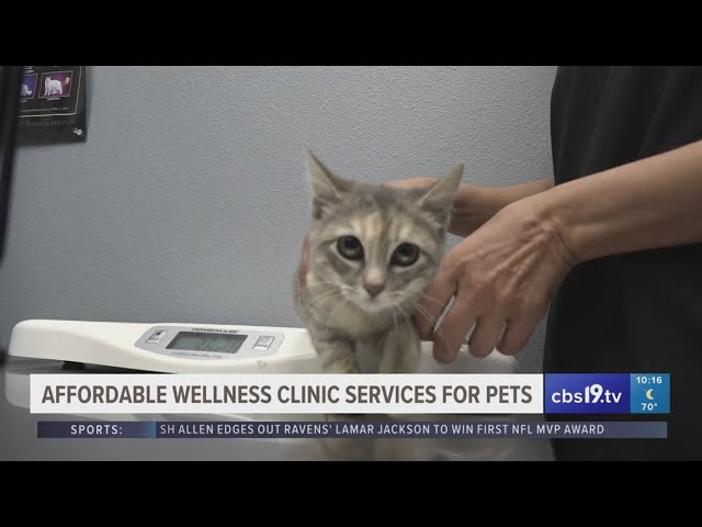 Animal wellness clinic providing affordable care for pets