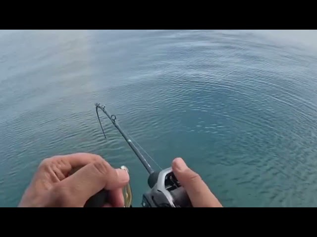 Using baitcasting reel with modified handle to catch wahoo fish