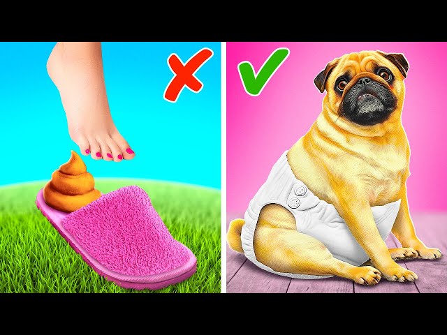 Save Poor Stray Dog 😢🐕 *Must-Have Gadgets and Crafts In Pet Hospital*